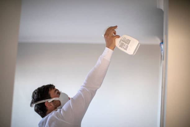 Best Toxic Mold Removal  in Thornville, OH