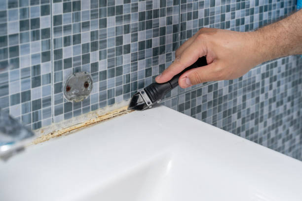 Best Residential Mold Removal  in Thornville, OH