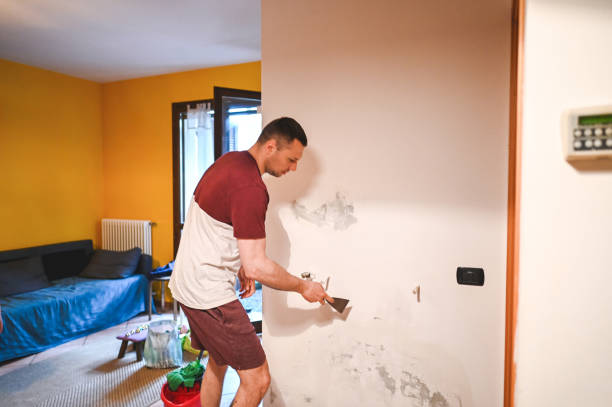 Mold Removal and Inspection in Thornville, OH