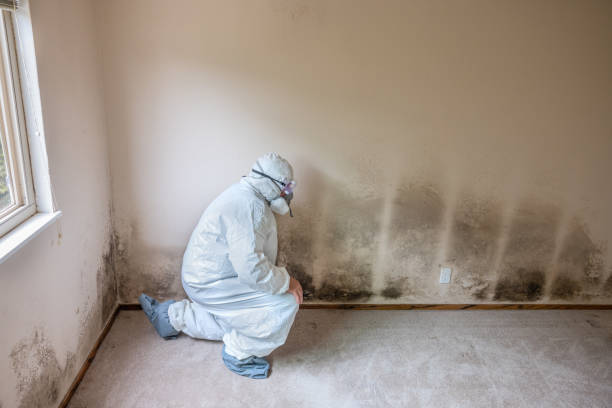Best Residential Mold Removal  in Thornville, OH
